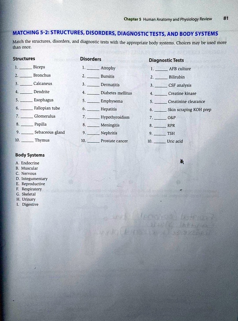 MATCHING 5-2: STRUCTURES, DISORDERS, DIAGNOSTIC TESTS, AND BODY SYSTEMS
Match the structures, disorders, and diagnostic tests with the appropriate body systems. Choices may be used more
than once.
Structures
Disorders
Diagnostic Tests
1.  Biceps
1.  Atrophy
1.  AFB culture
2.  Bronchus
2.  Bursitis
2.  Bilirubin
3.  Calcaneus
3.  Dermatitis
3.  CSF analysis
4.  Dendrite
4.  Diabetes mellitus
4.  Creatine kinase
5.  Esophagus
5.  Emphysema
5.  Creatinine clearance
6.  Fallopian tube
6.  Hepatitis
6.  Skin scraping KOH prep
7.  Glomerulus
7.  Hypothyroidism
7.  O   P
8.  Papilla
8.  Meningitis
8.  RPR
9.  Sebaceous gland
9.  Nephritis
9.  TSH
10.  Thymus
10.  Prostate cancer
10.  Uric acid
Body Systems
A. Endocrine
B. Muscular
C. Nervous
D. Integumentary
E. Reproductive
F. Respiratory
G. Skeletal
H. Urinary
I. Digestive