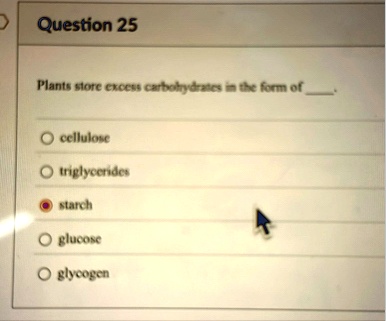 question 25 plants store excess carbohydrates in the form of  o cellulose o triglycerides o starch o glucose o glycogen 14114