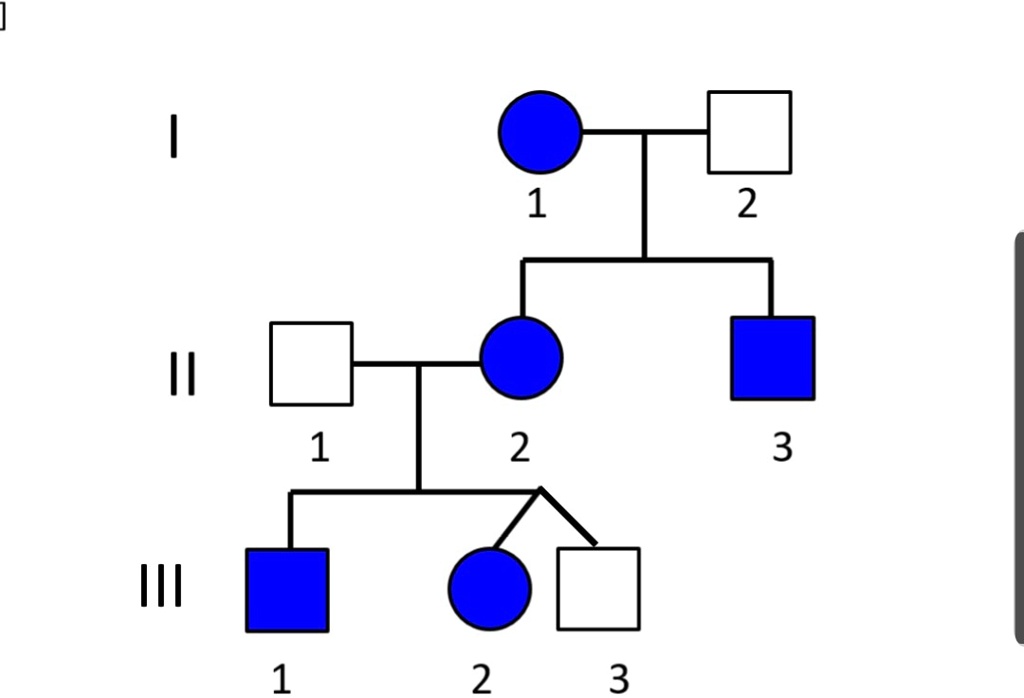 Solved: '1) What Are The Possible Genotypes Of All Of The Individuals 