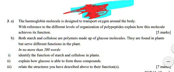 3. a) The haemoglobin molecule is designed to transport oxygen around the body.
With reference to the different levels of organization of polypeptides explain how this molecule
achieves its function.
[5 marks]
b) Both starch and cellulose are polymers made up of glucose molecules. They are found in plants
but serve different functions in the plant.
In no more than 200 words:
i) identify the function of starch and cellulose in plants.
ii) explain how glucose is able to form these compounds.
iii) relate the structures you have described above to their function(s).
[7 marks]