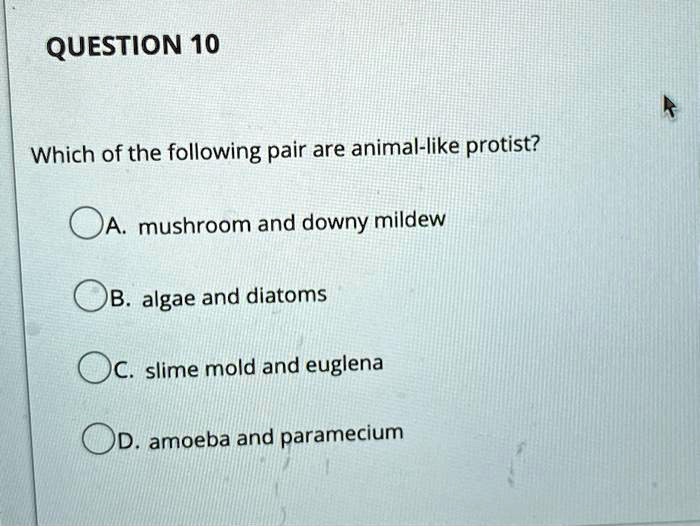 SOLVED: QUESTION 10 Which of the following pair are animal-like protist? A,  mushroom and downy mildew B algae and diatoms C slime mold and euglena DD.  amoeba ad paramecium