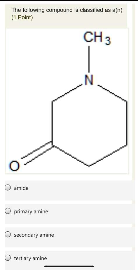 SOLVED: The following compound is classified as a(n) Point) amide