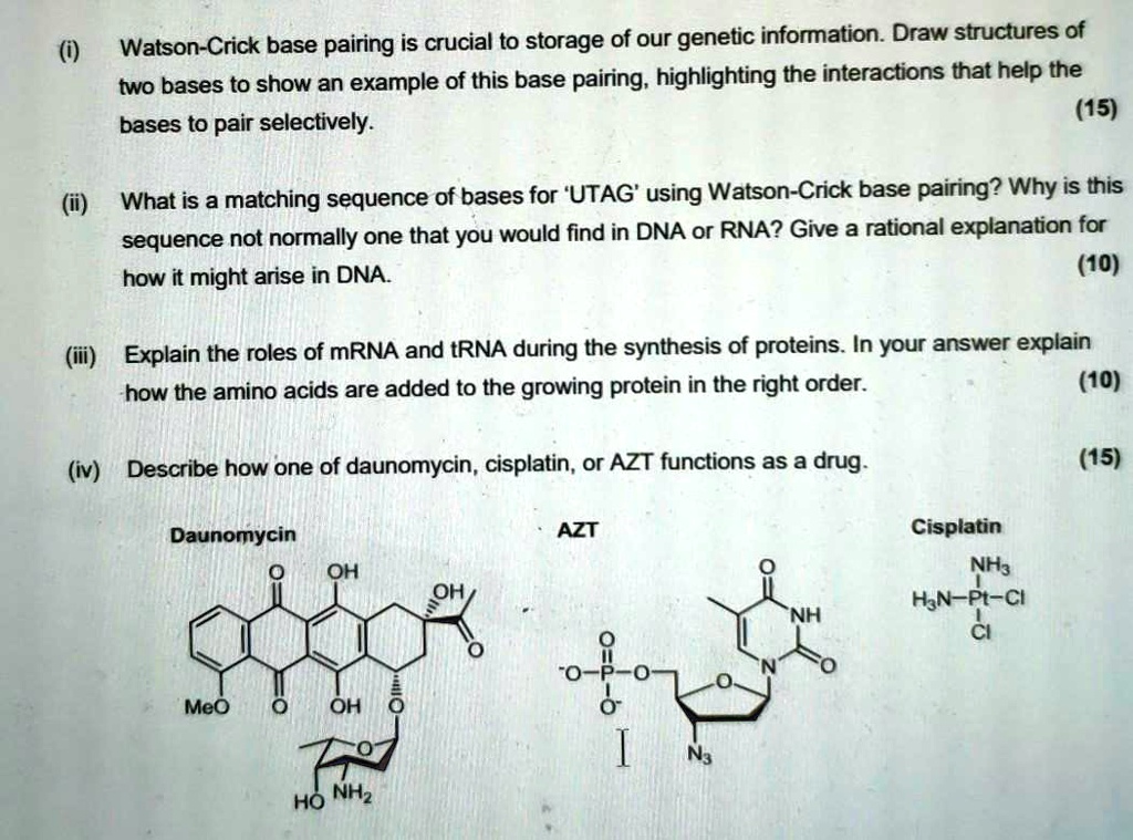 SOLVED WatsonCrick base pairing is crucial to storage of our