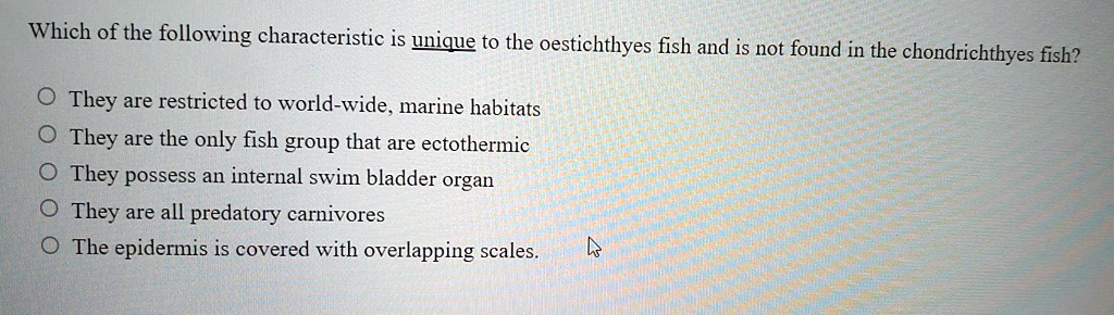 Which of the following characteristic is unique to the oestichthyes fish and is not found in the chondrichthyes fish? 

They are restricted to world-wide, marine habitats
They are the only fish group that are ectothermic
They possess an internal swim bladder organ
They are all predatory carnivores
The epidermis is covered with overlapping scales.