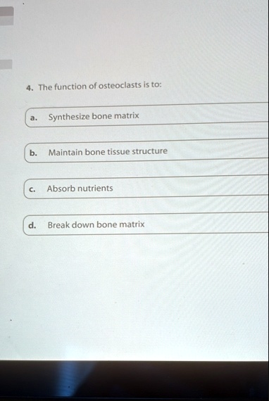 4 the function of osteoclasts is to a synthesize bone matrix b maintain bone tissue structure c absorb nutrients d break down bone matrix 69182