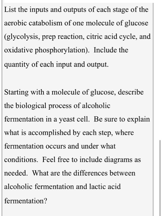 SOLVED: List the inputs and outputs of each stage of the aerobic ...