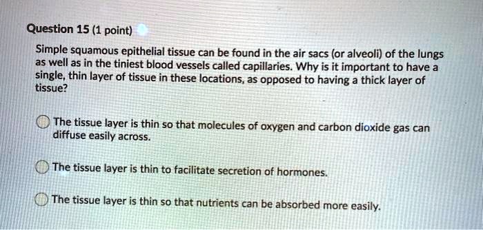 Simple squamous epithelial tissue can be found in the air sacs (or alveoli) of the lungs as well as in the tiniest blood vessels called capillaries. Why is it important to have a single, thin layer of tissue in these locations, as opposed to having a thick layer of tissue?

The tissue layer is thin so that molecules of oxygen and carbon dioxide gas can diffuse easily across.

The tissue layer is thin to facilitate secretion of hormones.

The tissue layer is thin so that nutrients can be absorbed more easily.