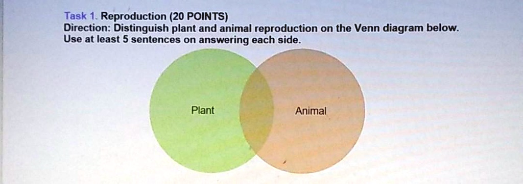 SOLVED: Task 1. Reproduction (20 POINTS) Direction: Distinguish plant and animal  reproduction on the Venn diagram below: Use at least 5 sentences on  answering each side. Plant Animal