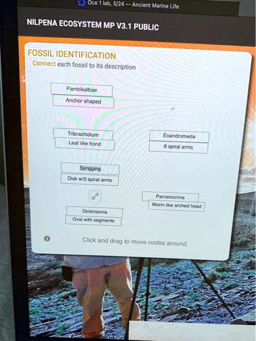 Ocean lab, 5/24 Ancient Marine Life NILPENA ECOSYSTEM MP V3.1 PUBLIC