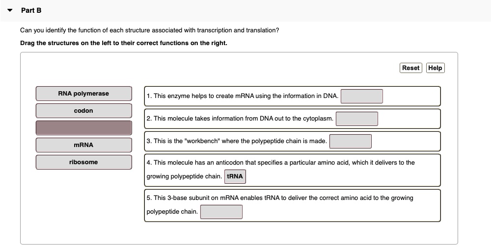 SOLVED: Can you identify the function of each structure associated with ...