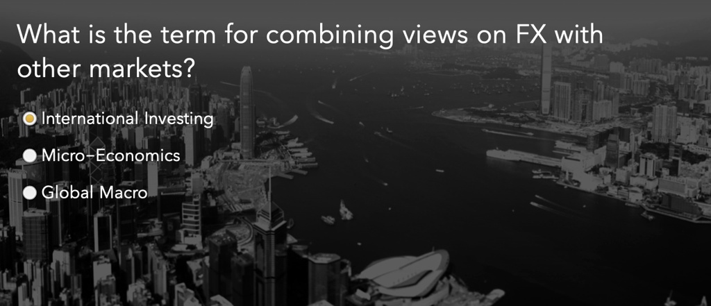What is the term for combining views on FX with other markets?
International Investing
Micro-Economics
Global Macro