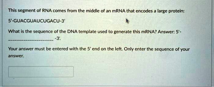 This segment of RNA comes from the middle of an mRNA that encodes a ...