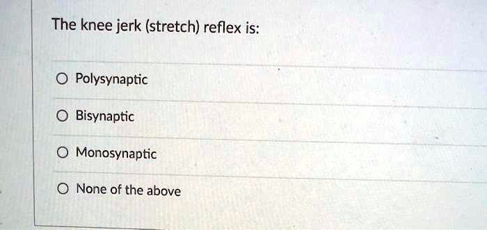 The knee jerk (stretch) reflex is:
Polysynaptic
Bisynaptic
Monosynaptic
None of the above