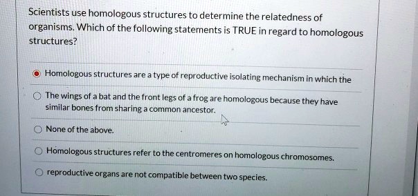 Solved:scientists Use Homologous Structures To Determine The Relatedness Of  Organisms Which Of The Following Statements Is True In Regard To Homologous  Structures? Homologous Structures Are Type Of Reproductive Isolating  Mechanism In Which Solved:scientists Use Homologous Structures To Determine The Relatedness Of  Organisms Which Of The Following Statements Is True In Regard To Homologous  Structures? Homologous Structures Are Type Of Reproductive Isolating  Mechanism In Which