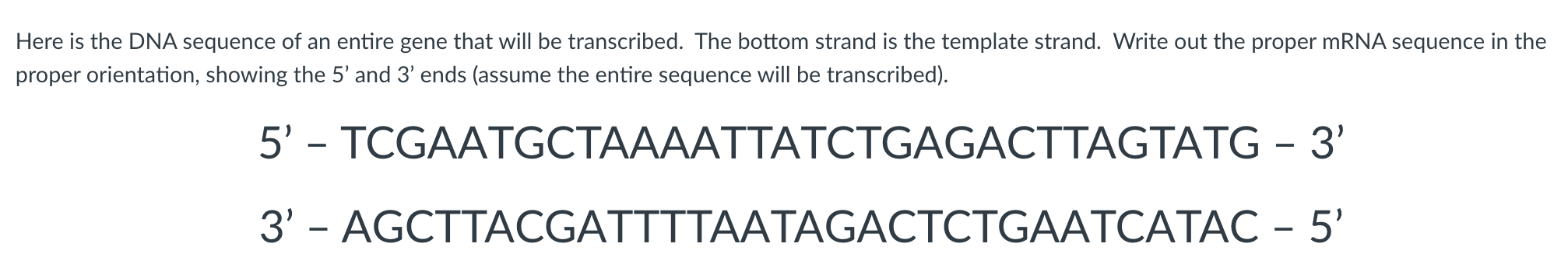 SOLVED: Here is the DNA sequence of an entire gene that will be ...