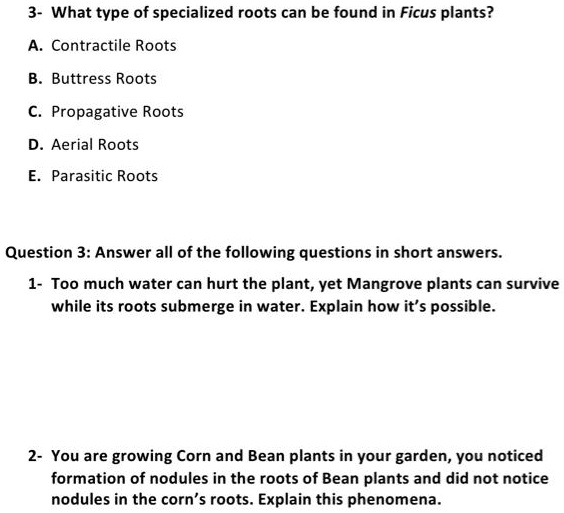 SOLVED 3 What type of specialized roots can be found in Ficus plants
