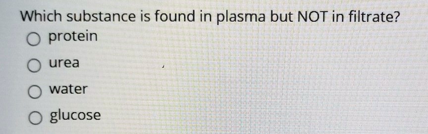 Which substance is found in plasma but NOT in filtrate?
protein
urea
water
glucose