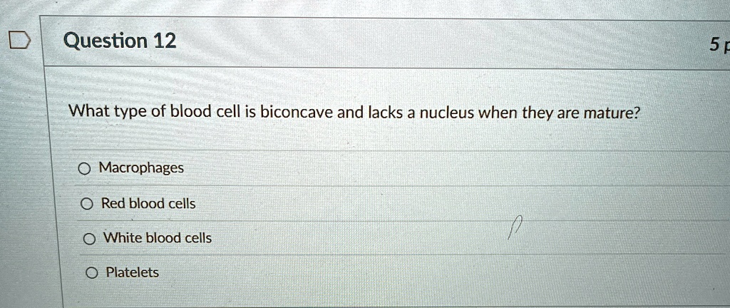 A Mature Red Blood Cell Lacks A Nucleus Thus It