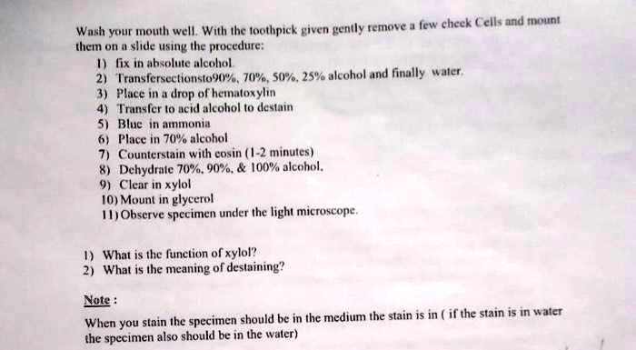 Wash your mouth well. With the toothpick given gently remove a few cheek Cells and mount
them on a slide using the procedure:
1) fix in absolute alcohol.
2) Transfer sections to 90%, 70%, 50%, 25% alcohol and finally water.
3) Place in a drop of hematoxylin
4) Transfer to acid alcohol to destain
5) Blue in ammonia
6) Place in 70% alcohol
7) Counterstain with eosin (1-2 minutes)
8) Dehydrate 70%, 90%, & 100% alcohol.
9) Clear in xylol
10) Mount in glycerol
11) Observe specimen under the light microscope.

1) What is the function of xylol?
2) What is the meaning of destaining?

Note :
When you stain the specimen should be in the medium the stain is in ( if the stain is in water
the specimen also should be in the water)