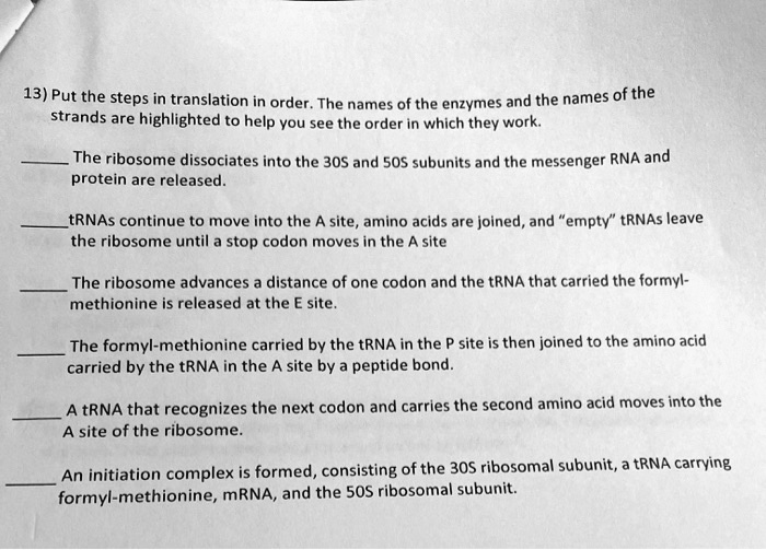 13 put the steps in translation in order the names of the enzymes and ...