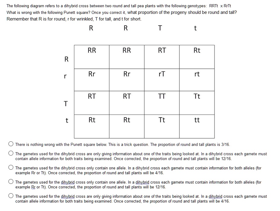 SOLVED: The following diagram refers to a dihybrid cross between two ...