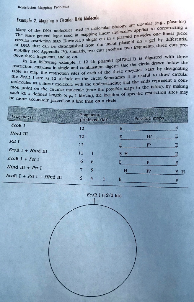 Solved Restriction Mapping Problems Circular Dna Molecule Example