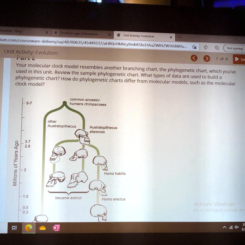 Part E Your molecular clock model resembles another branching chart ...