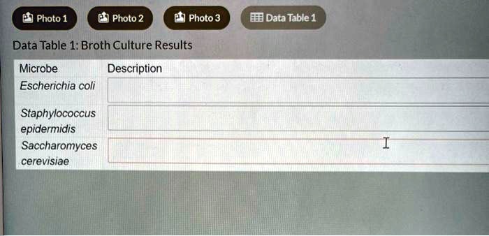 Photo 1 Photo 2 Photo 3 Data Table 1 Data Table 1 Broth Culture Results photo-1-photo-2-photo-3-data-table-1-data-table-1-broth-culture-results