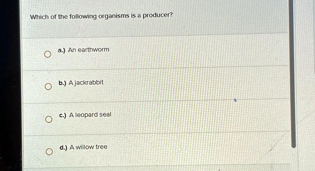 Which of the following organisms is a producer? a.) An earthworm b.) A