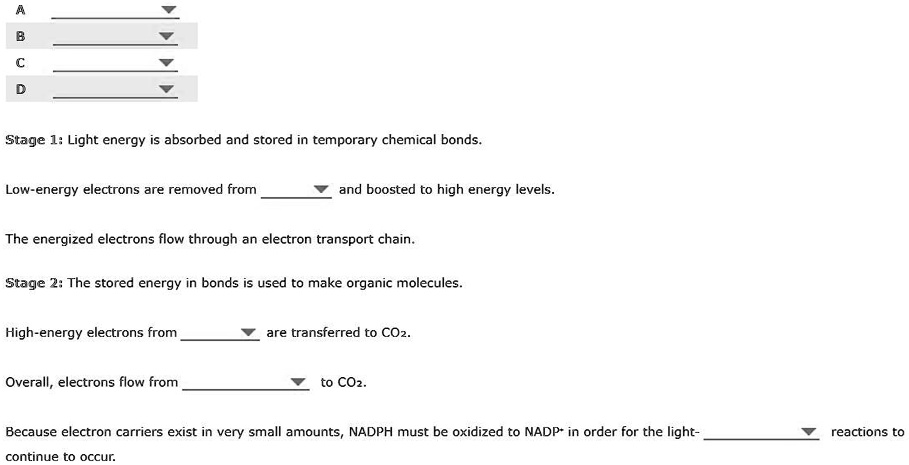 A
B
C
D
Stage 1: Light energy is absorbed and stored in temporary chemical bonds.
Low-energy electrons are removed from ? and boosted to high energy levels.
The energized electrons flow through an electron transport chain.
Stage 2: The stored energy in bonds is used to make organic molecules.
High-energy electrons from ? are transferred to CO2.
Overall, electrons flow from ? to CO2.
Because electron carriers exist in very small amounts, NADPH must be oxidized to NADP+ in order for the light- ? reactions to continue to occur.
