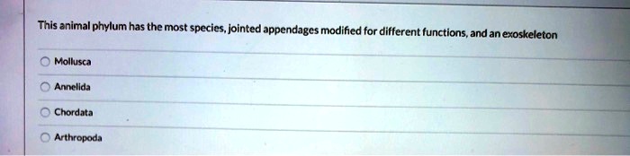 SOLVED: This animal phylum has the most species, jointed appendages