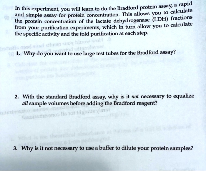 Solved Rapidly In This Experiment You Will Learn To Do The Bradford Protein Assay This 3842