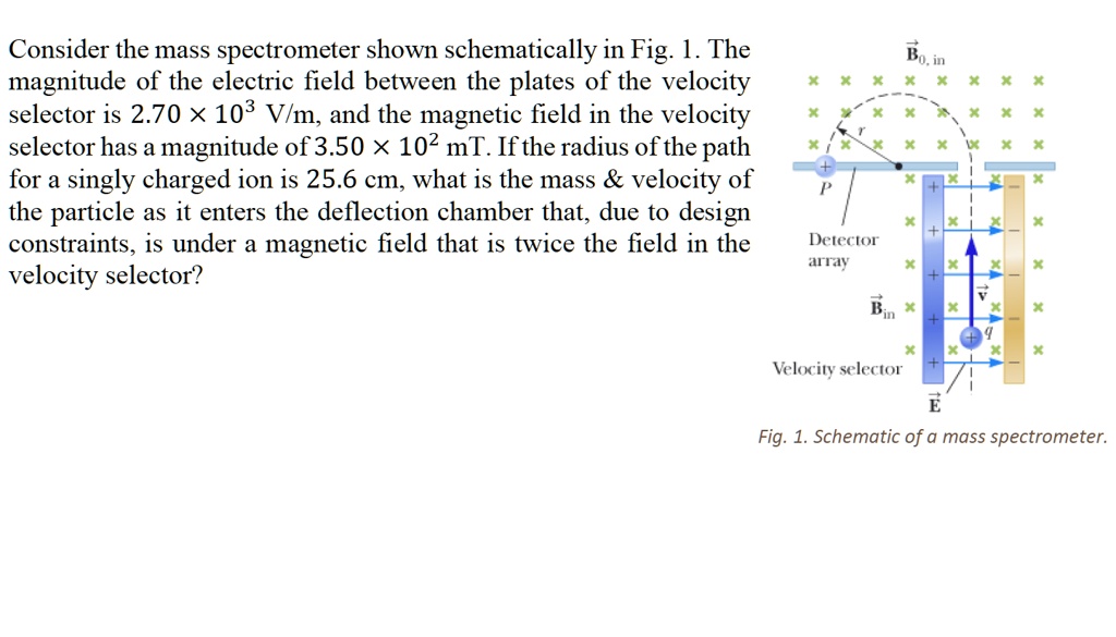 Consider the mass spectrometer shown schematically in Fig. 1. The magnitude of the electric field between the plates of the velocity selector is 2.70    times; 10^3 V/m, and the magnetic field in the velocity selector has a magnitude of 3.50    times; 10^2 mT. If the radius of the path for a singly charged ion is 25.6 cm, what is the mass     velocity of the particle as it enters the deflection chamber that, due to design constraints, is under a magnetic field that is twice the field in the velocity selector?