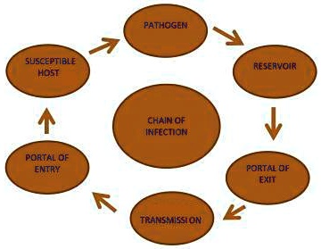 The chain of infection explains how infection is transmitted from one ...