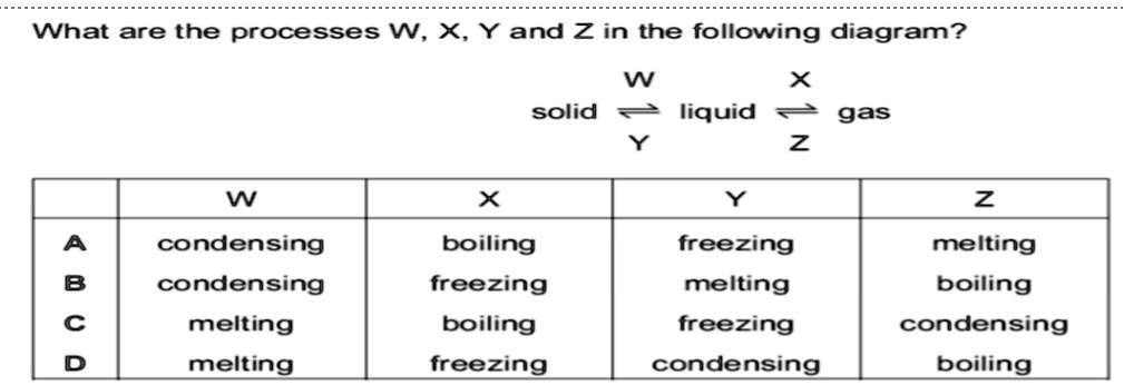 Solved Hi Pls Can Someone Answer I Ll Give Brainliest What Are The Processes W X Yand Z In