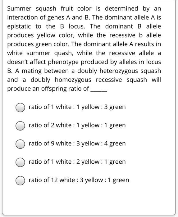 SOLVED Summer squash fruit color determined by an interaction of genes A and B. The dominant