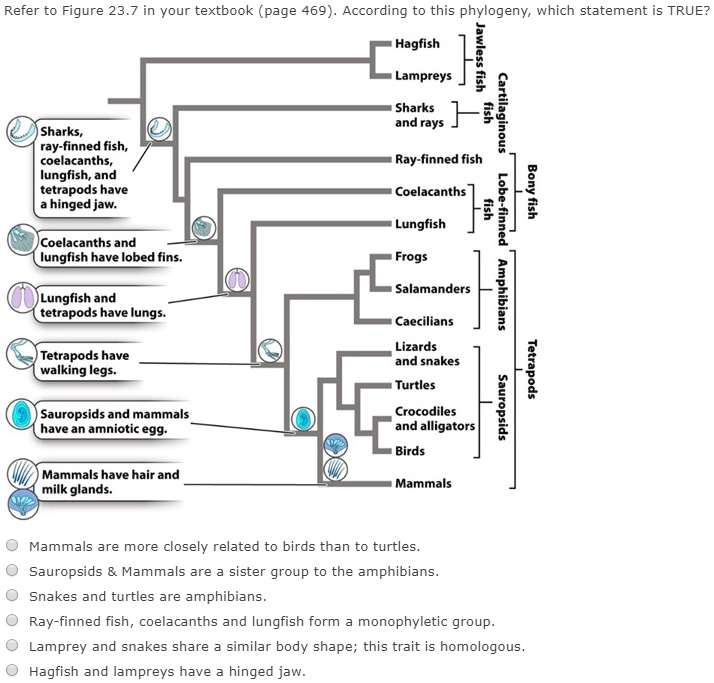 SOLVED: Refer to Figure 23.7 in your textbook (page 469). According to