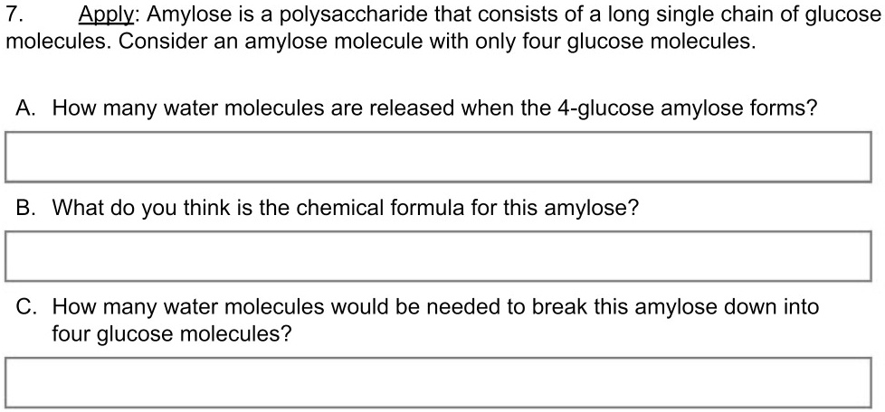 SOLVED: Amylose is a polysaccharide that consists of a long single ...