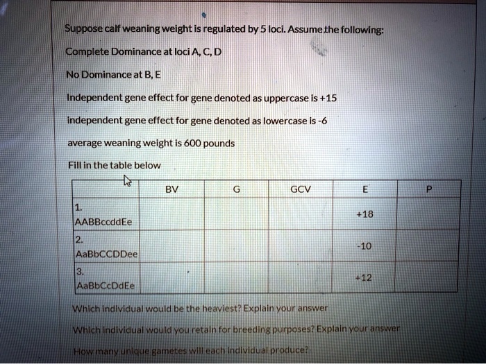 Suppose calf weaning weight is regulated by 5 loci. Assume the following: Complete Dominance at loci A, C, D No Dominance at B, E Independent gene effect for gene denoted as uppercase is +15 independent gene effect for gene denoted as lowercase is -6 average weaning weight is 600 pounds Fill in the table below BV G GCV E P 1. AABBccddEe +18 2. AaBbCCDDee -10 3. AaBbCcDdEe +12 Which individual would be the heaviest? Explain your answer Which individual would you retain for breeding purposes? Explain your answer How many unique gametes will each individual produce?
