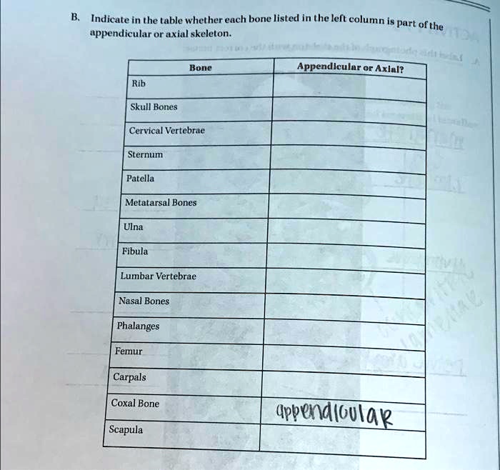 SOLVED Appendicular or Axial Skeleton Bone Appendicular or Axial? Rib