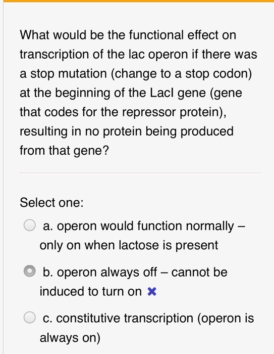 What would be the functional effect on transcription of the lac operon if there was a stop mutation (change to a stop codon) at the beginning of the Lacl gene (gene that codes for the repressor protein), resulting in no protein being produced from that gene?
Select one:
a. operon would function normally – only on when lactose is present
b. operon always off – cannot be induced to turn on
c. constitutive transcription (operon is always on)