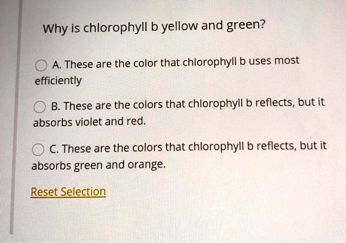 SOLVED: Why Is Chlorophyll B Yellow And Green? A. These Are The Color ...