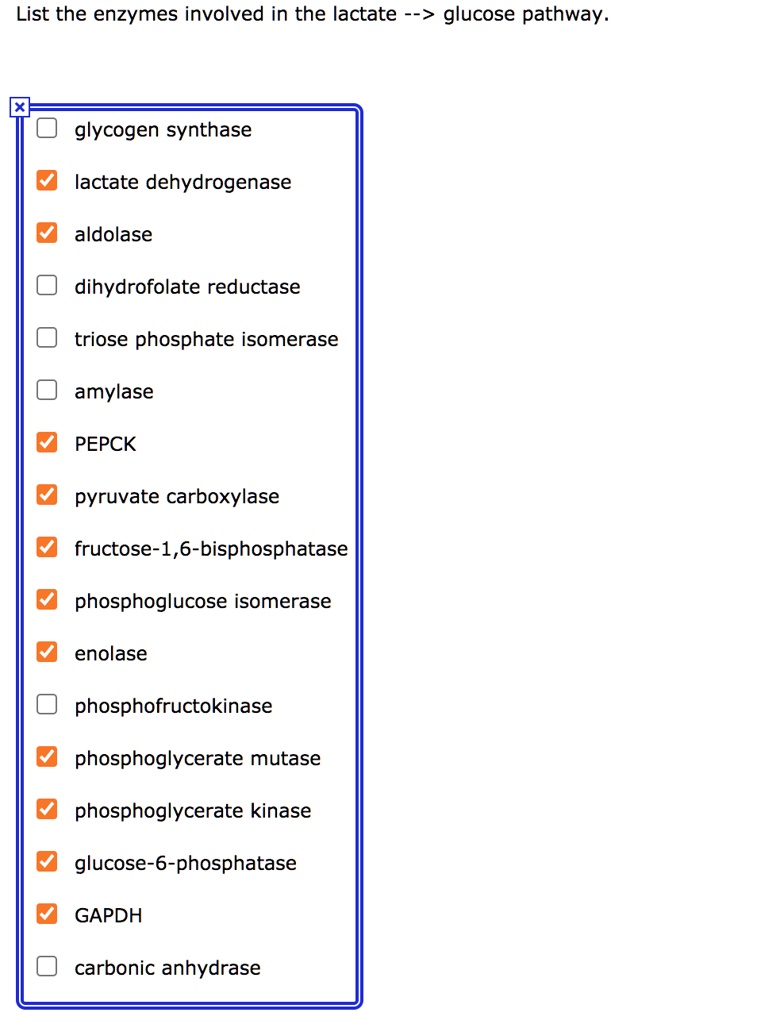 SOLVED In the Cori cycle, the lactate product of glycolysis in muscle