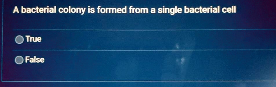 A bacterial colony is formed from a single bacterial cell True False A ...