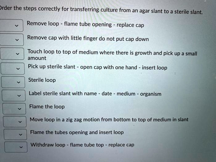 Order the steps correctly for transferring culture from an agar slant to a sterile slant.
Remove loop - flame tube opening - replace cap
Remove cap with little finger do not put cap down
Touch loop to top of medium where there is growth and pick up a small amount
Pick up sterile slant - open cap with one hand - insert loop
Sterile loop
Label sterile slant with name - date - medium - organism
Flame the loop
Move loop in a zig zag motion from bottom to top of medium in slant
Flame the tubes opening and insert loop
Withdraw loop - flame tube top - replace cap