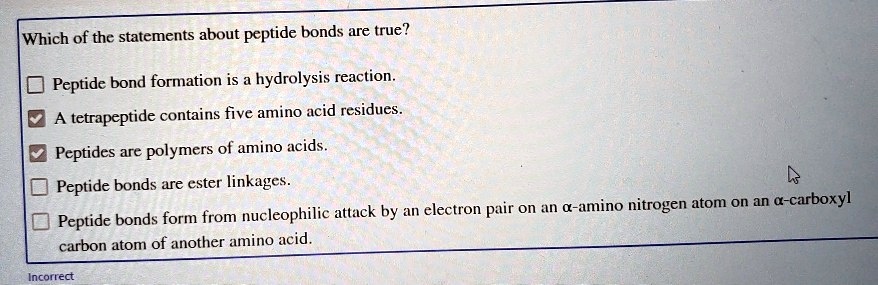 Which of the statements about peptide bonds are true?
Peptide bond formation is a hydrolysis reaction.
A tetrapeptide contains five amino acid residues.
Peptides are polymers of amino acids.
Peptide bonds are ester linkages.
Peptide bonds form from nucleophilic attack by an electron pair on an ?-amino nitrogen atom on an ?-carboxyl carbon atom of another amino acid.