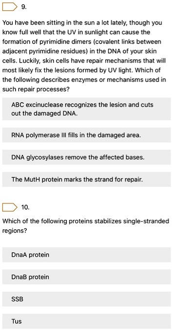 9.

You have been sitting in the sun a lot lately, though you know full well that the UV in sunlight can cause the formation of pyrimidine dimers (covalent links between adjacent pyrimidine residues) in the DNA of your skin cells. Luckily, skin cells have repair mechanisms that will most likely fix the lesions formed by UV light. Which of the following describes enzymes or mechanisms used in such repair processes?

ABC excinuclease recognizes the lesion and cuts out the damaged DNA.

RNA polymerase III fills in the damaged area.

DNA glycosylases remove the affected bases.

The MutH protein marks the strand for repair.

10.

Which of the following proteins stabilizes single-stranded regions?

DnaA protein

DnaB protein

SSB

Tus