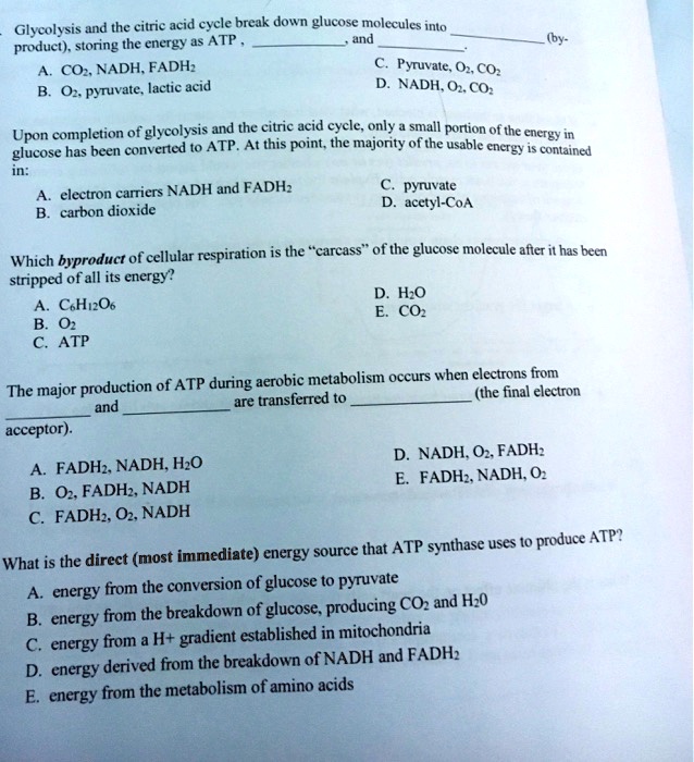 Glycolysis and the citric acid cycle break down glucose molecules into  (by-product), storing the energy as ATP , , and .
A. CO2, NADH, FADH2
B. O2, pyruvate, lactic acid
C. Pyruvate, O2, CO2
D. NADH, O2, CO2

Upon completion of glycolysis and the citric acid cycle, only a small portion of the energy in glucose has been converted to ATP. At this point, the majority of the usable energy is contained in:
A. electron carriers NADH and FADH2
B. carbon dioxide
C. pyruvate
D. acetyl-CoA

Which byproduct of cellular respiration is the ’’carcass’’ of the glucose molecule after it has been stripped of all its energy?
A. C6H12O6
B. O2
C. ATP
D. H2O
E. CO2

The major production of ATP during aerobic metabolism occurs when electrons from  and  are transferred to  (the final electron acceptor).
A. FADH2, NADH, H2O
B. O2, FADH2, NADH
C. FADH2, O2, NADH
D. NADH, O2, FADH2
E. FADH2, NADH, O2

What is the direct (most immediate) energy source that ATP synthase uses to produce ATP?
A. energy from the conversion of glucose to pyruvate
B. energy from the breakdown of glucose, producing CO2 and H20
C. energy from a H+ gradient established in mitochondria
D. energy derived from the breakdown of NADH and FADH2
E. energy from the metabolism of amino acids