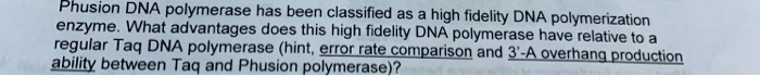 SOLVED: enzsion DNA polymerase has been classified as a high fidelity ...