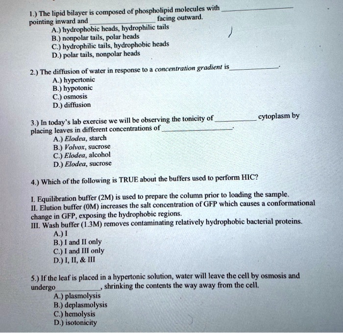 SOLVED The lipid bilayer is composed of phospholipid molecules with